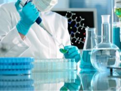 生物技術(shù)開(kāi)發(fā) 創(chuàng)新驅(qū)動(dòng)下的未來(lái)前景與機(jī)遇