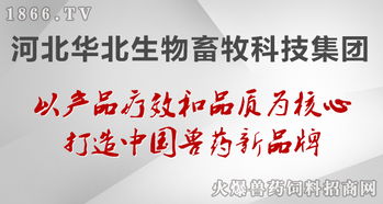 華北生物 聚焦生物技術開發，守護健康——病毒性疾病的防治原則與前沿實踐
