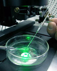 2021年中國生物技術開發 創新驅動與產業升級的新篇章